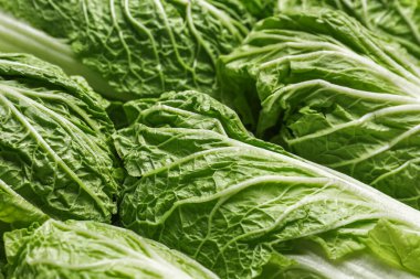 Arka plan olarak taze Çin lahanası, yakın plan.