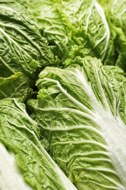 Arka plan olarak taze Çin lahanası, yakın plan.