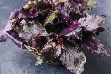 Koyu arka planda taze fesleğenli sepet, yakın plan.