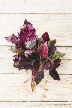 Hafif ahşap arka planda taze fesleğen