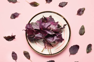 Arkaplanda taze fesleğen tabağı