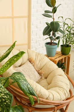 Oturma odasında rahat koltuk