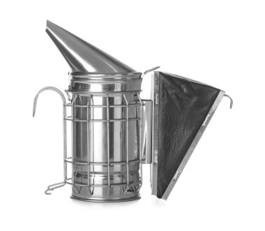 Beyaz arka planda arı içicisi