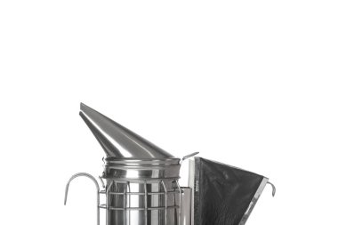 Beyaz arka planda arı içicisi