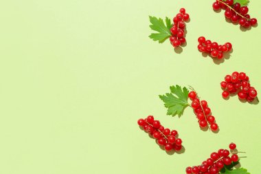 Taze kırmızı üzümler ve renk arkaplanındaki yapraklar