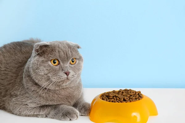 Cute Cat Bowl Food Color Background — Stock Photo, Image