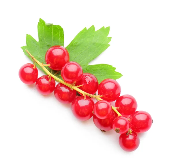 Frische Rote Johannisbeeren Und Blatt Auf Weißem Hintergrund — Stockfoto