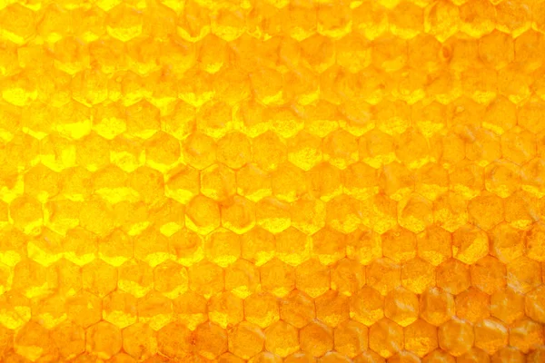 Texture Honey Combs Closeup — Stock Photo, Image