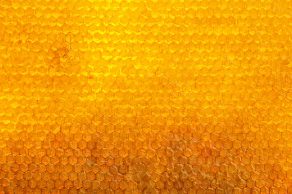 Textur Der Honigwaben Ansicht Von Oben — Stockfoto