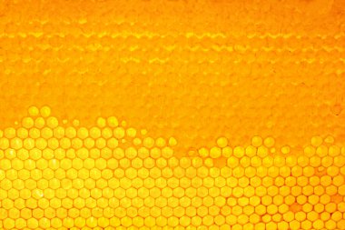 Bal taraklarının dokusu, üst görünüm