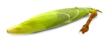 Beyaz arkaplanda taze mısır koçanı