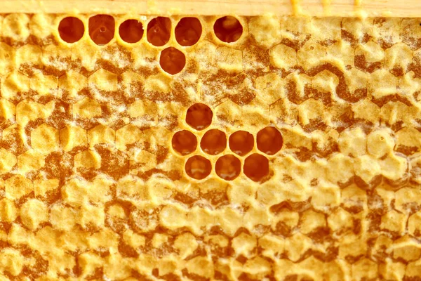 蜂蜜梳的质地 — 图库照片