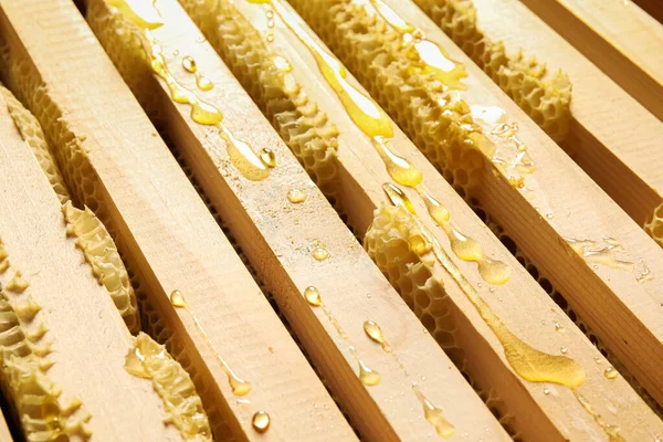 Honey Super Frames Apiary Closeup — Stock Photo, Image