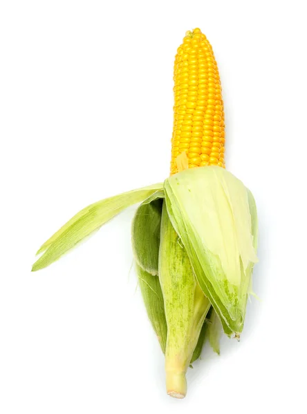 Świeża Kolba Kukurydzy Białym Tle — Zdjęcie stockowe