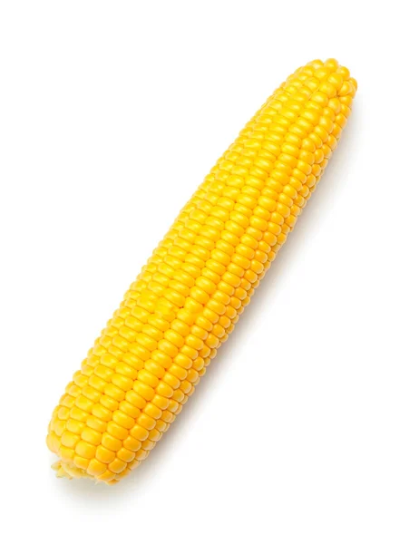 Свежая Кукуруза Початок Белом Фоне — стоковое фото
