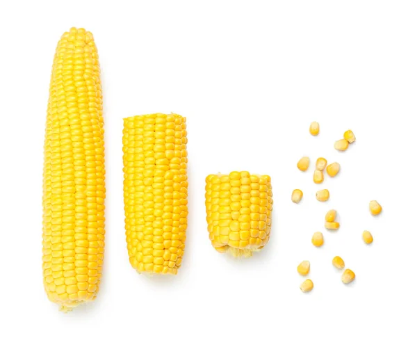 Fresh Corn Cobs Seeds White Background — Stock Photo, Image