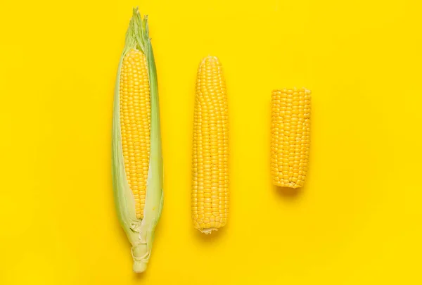 Fresh Corn Cobs Color Background — Stock Photo, Image