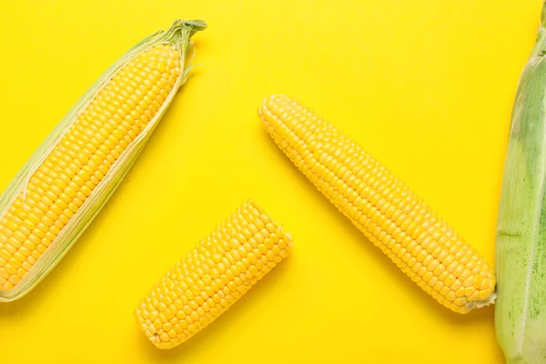 Frische Maiskolben Auf Farbigem Hintergrund — Stockfoto