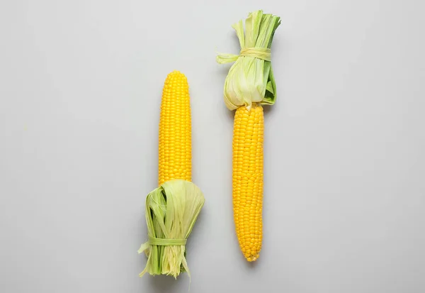 Fresh Corn Cobs Light Background — Stock Photo, Image