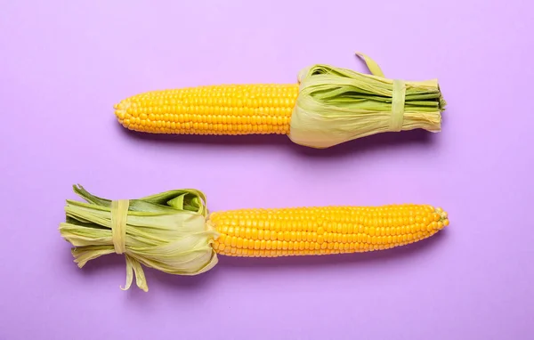 Frische Maiskolben Auf Farbigem Hintergrund — Stockfoto