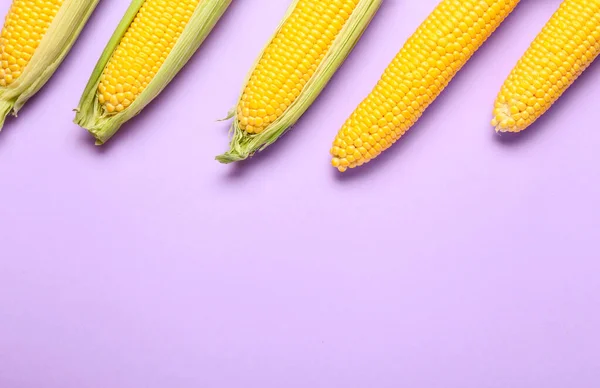 Fresh Corn Cobs Color Background Closeup — Stock Photo, Image
