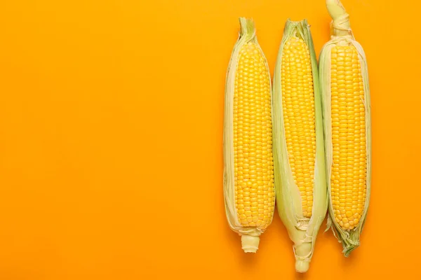 Fresh Corn Cobs Color Background — Stock Photo, Image