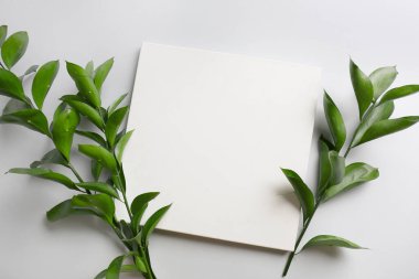 Açık arkaplanda boş poster ve bitki dalları