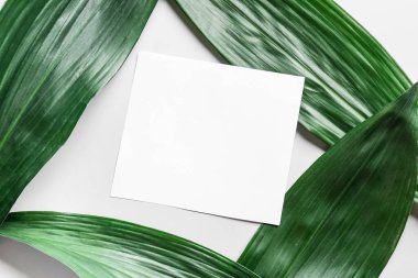 Beyaz arkaplanda boş kart ve yeşil yapraklar, yakın plan