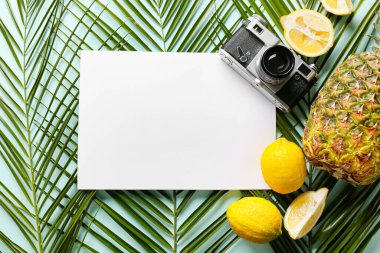 Renk arkaplanında boş kağıt, meyve, fotoğraf makinesi ve palmiye yapraklarıyla kompozisyon