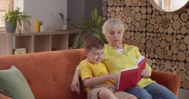 Kleine Jongen Zijn Grootmoeder Lezen Boek Thuis — Stockvideo