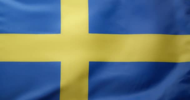 Vinka Flagga Sverige Som Bakgrund — Stockvideo