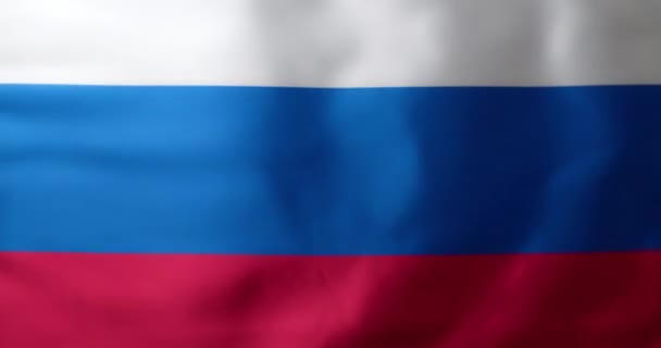 Waving Flag Russian Federation Background — Stock Video