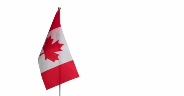 Flagga Kanada Vit Bakgrund — Stockvideo