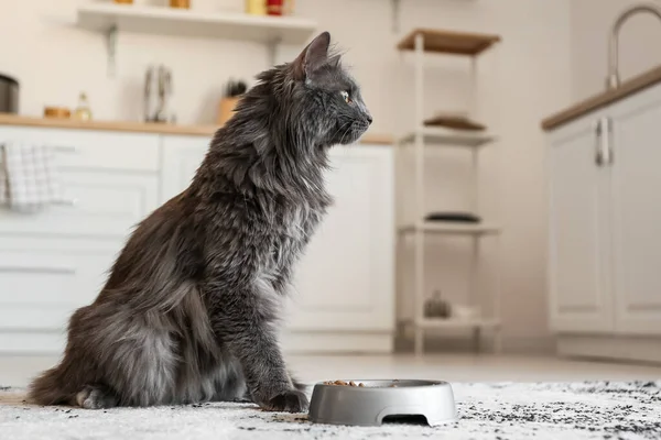 Evde Yemek Ile Kase Yakınındaki Sevimli Kedi — Stok fotoğraf