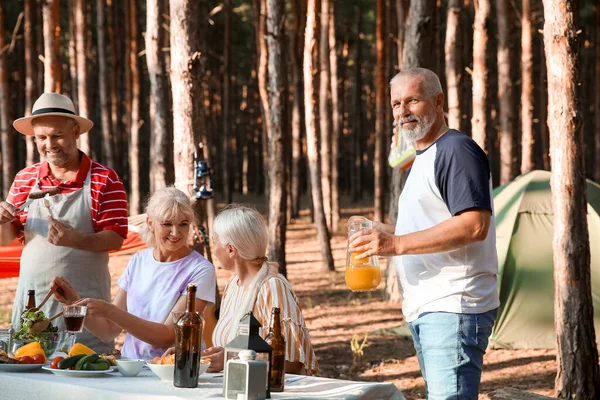 Mature People Barbecue Party Summer Day — Stock Photo, Image