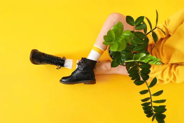 Stylish Young Woman Houseplant Color Background — Stock Photo, Image