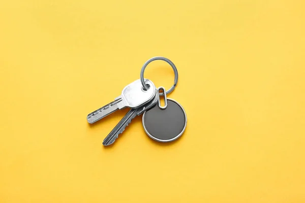 Keys Stylish Keychain Color Background — Stock Photo, Image