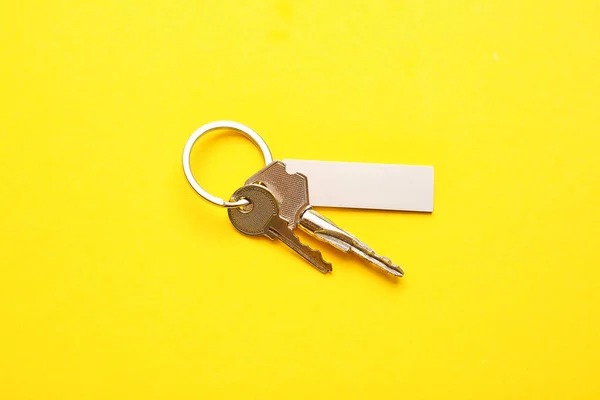 Κλειδιά Κομψό Μπρελόκ Στο Φόντο Χρώμα — Φωτογραφία Αρχείου
