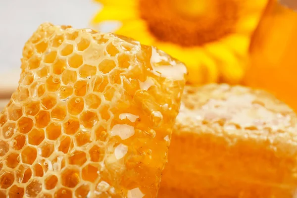 Süße Honigwaben Nahaufnahme — Stockfoto