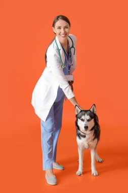 Arka planda şirin bir köpeği olan bir veteriner.