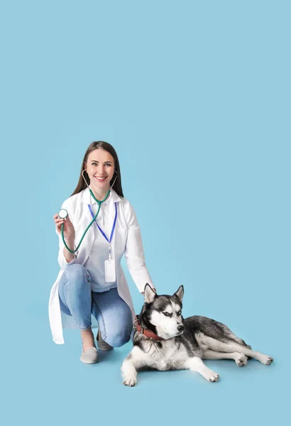 Veterinär Med Söt Hund Färg Bakgrund — Stockfoto