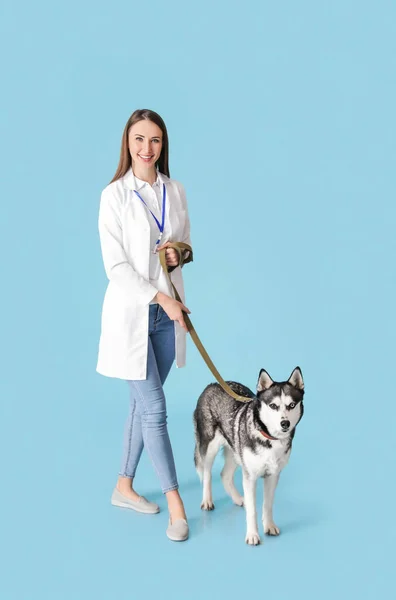 Veterinär Med Söt Hund Färg Bakgrund — Stockfoto