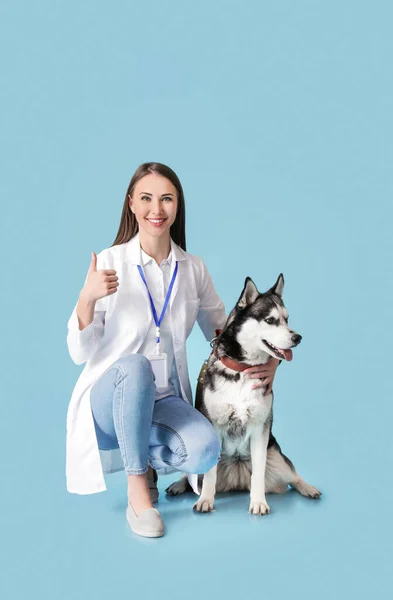 Veterinär Med Söt Hund Färg Bakgrund — Stockfoto