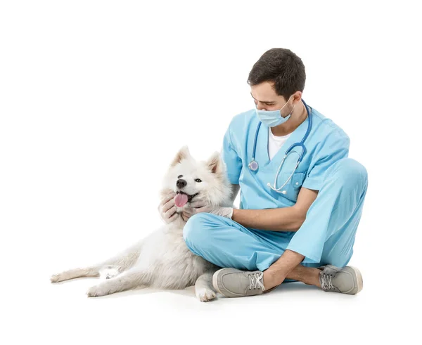 Veterinario Con Lindo Perro Sobre Fondo Blanco — Foto de Stock