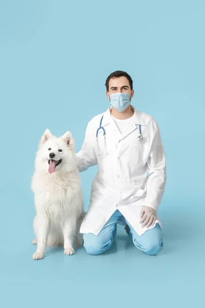 Veterinarian Cute Dog Color Background — Stock Photo, Image