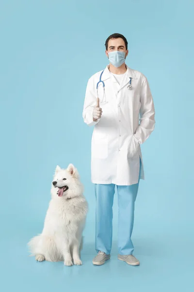 獣医とともに可愛いです犬上の色の背景 — ストック写真
