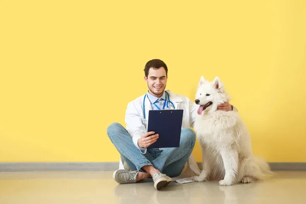 Veterinarian Cute Dog Color Background — Stock Photo, Image