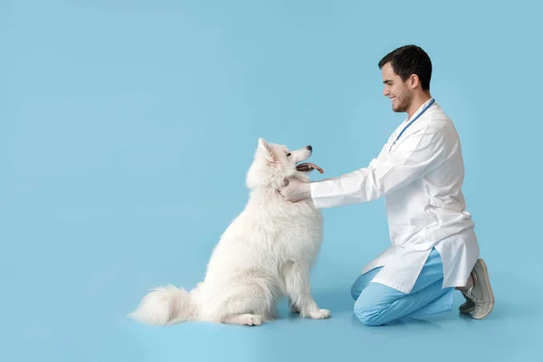 Veterinario Con Lindo Perro Fondo Color — Foto de Stock