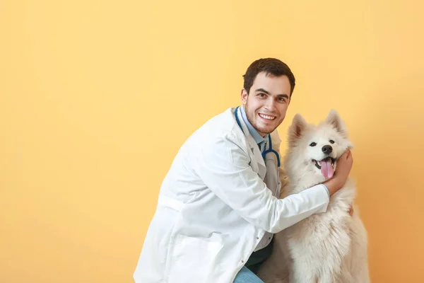 Veterinarian Cute Dog Color Background — Stock Photo, Image