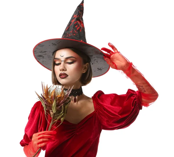 Mulher Bonita Vestida Como Bruxa Para Halloween Fundo Branco — Fotografia de Stock